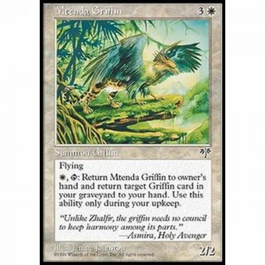 Mtenda Griffin - Grifone Mtenda - [MIR] [NM]