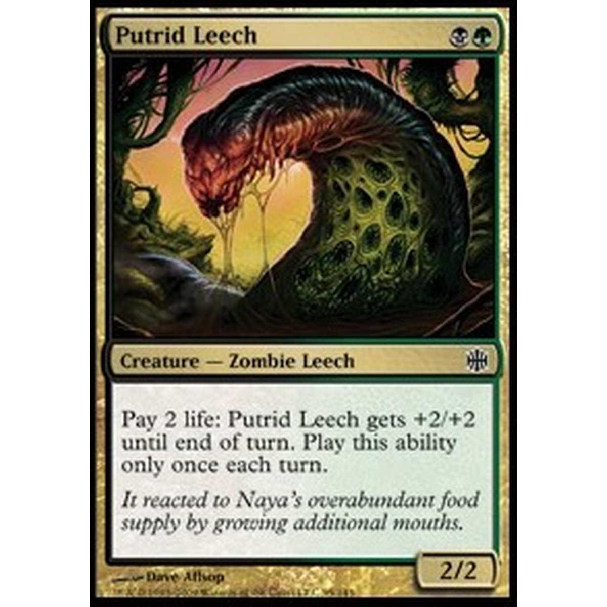 Putrid Leech - Putrid Leech - [ARB] [NM]