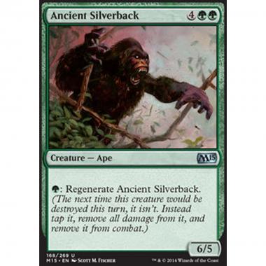 Ancient Silverback - Antico Schienargento - [M15] [NM]
