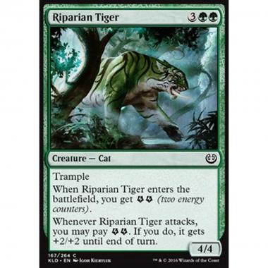 Riparian Tiger - Tigre delle Rive - [KLD] [NM]