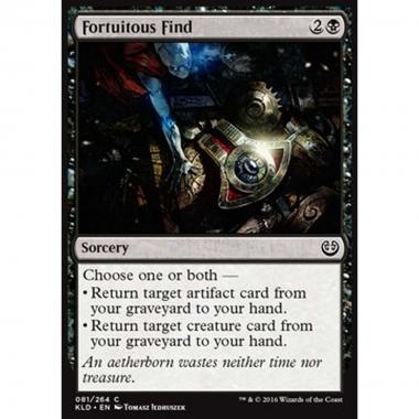 Fortuitous Find - Ritrovamento Fortuito - [KLD] [NM]