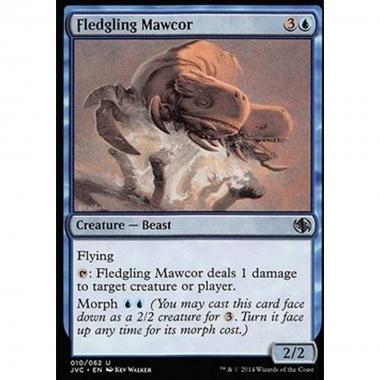 Fledgling Mawcor - Fledgling Mawcor - [DD3] [NM]