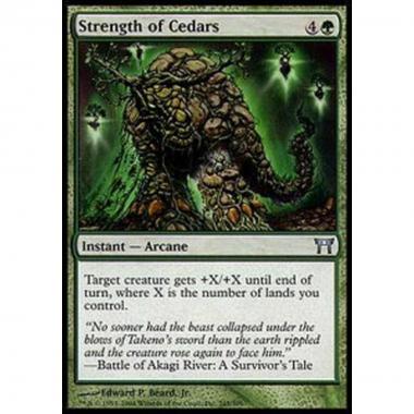 Strength of Cedars - Strength of Cedars - [CHK] [NM]