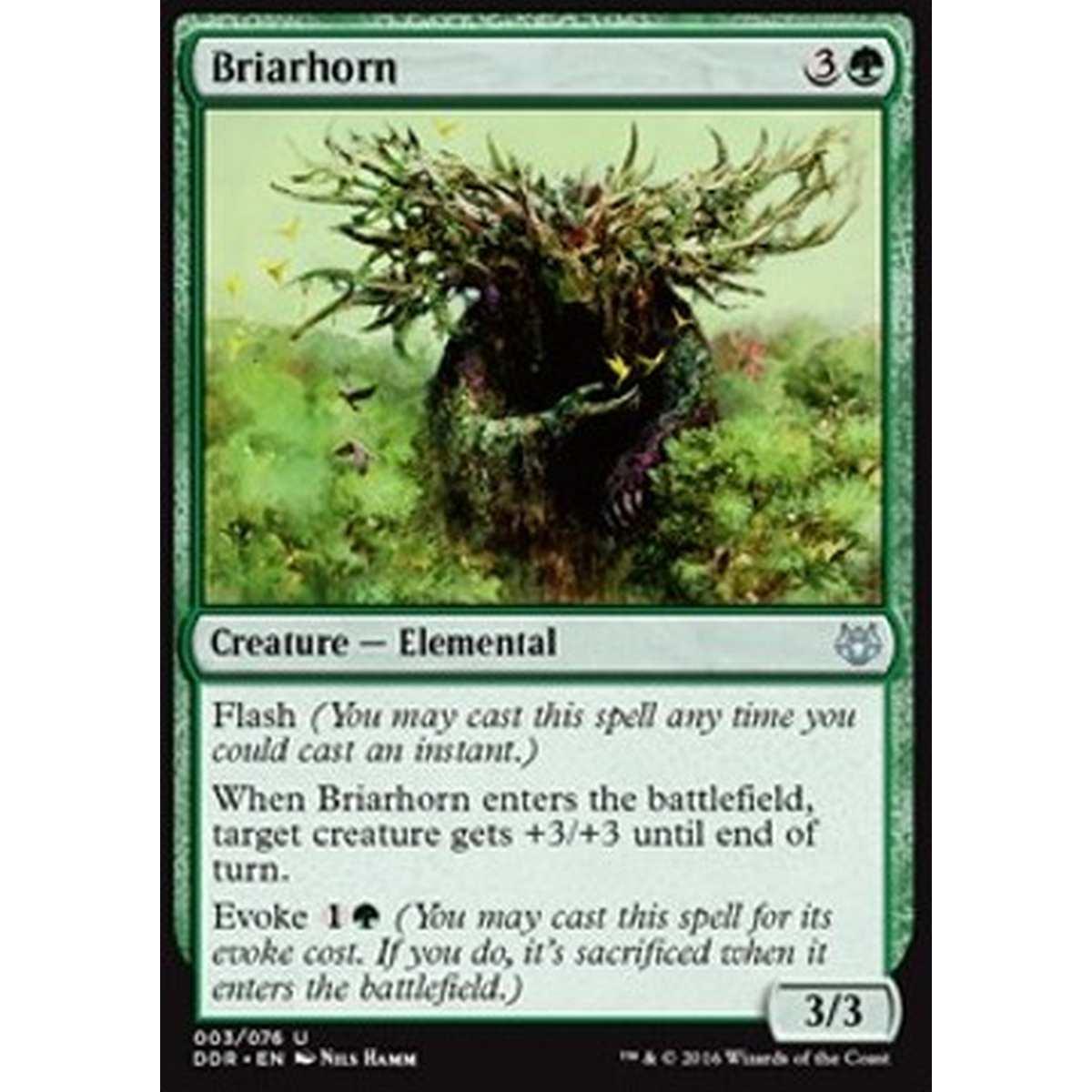 Briarhorn - Briarhorn - [DDR] [NM]