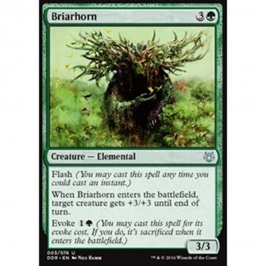 Briarhorn - Briarhorn - [DDR] [NM]