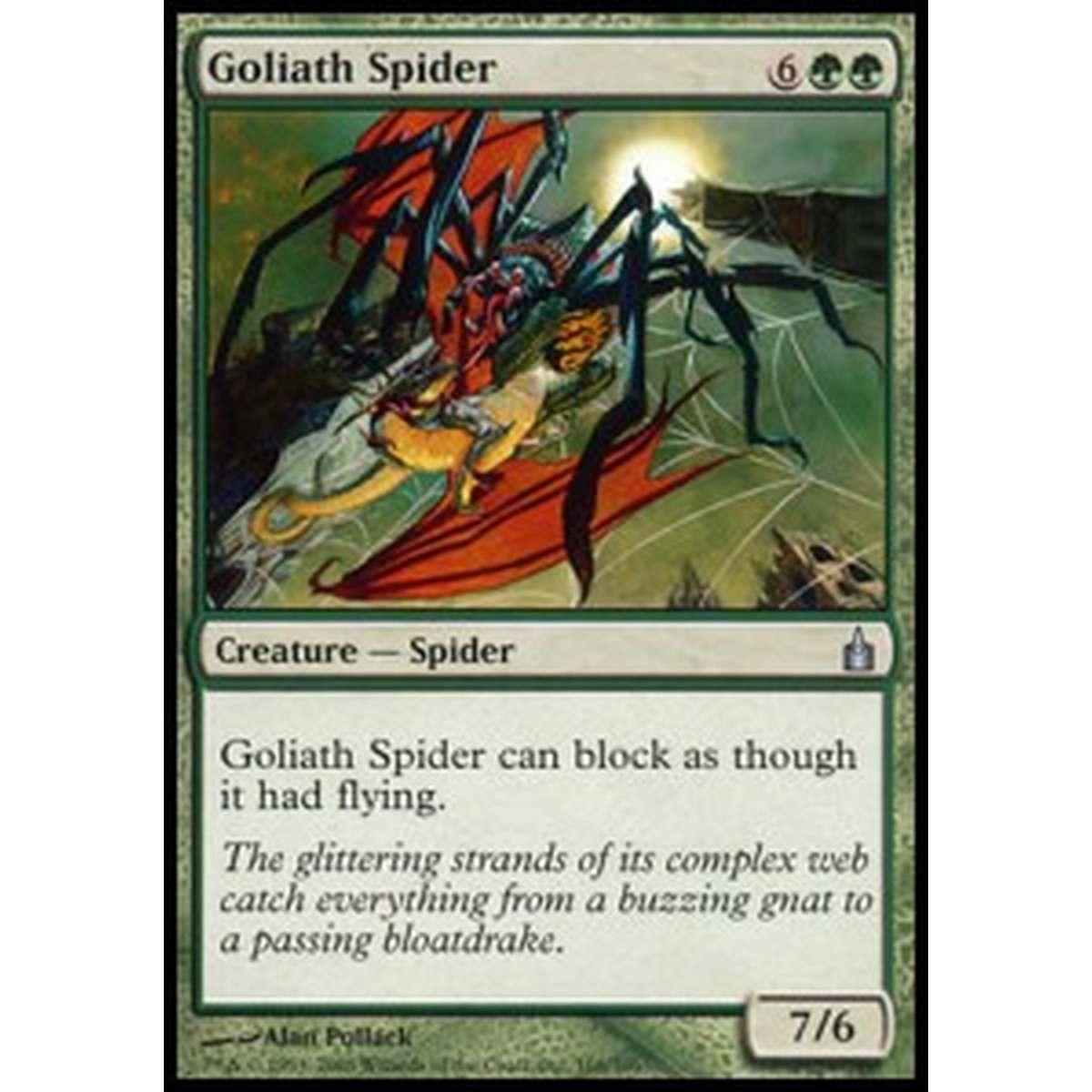 Goliath Spider - Ragno Golia - [RAV] [EX]