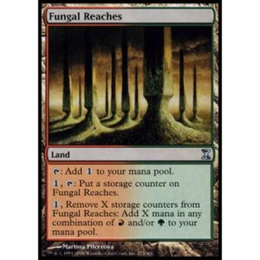 Fungal Reaches - Distese Fungine - [TSP] [NM]