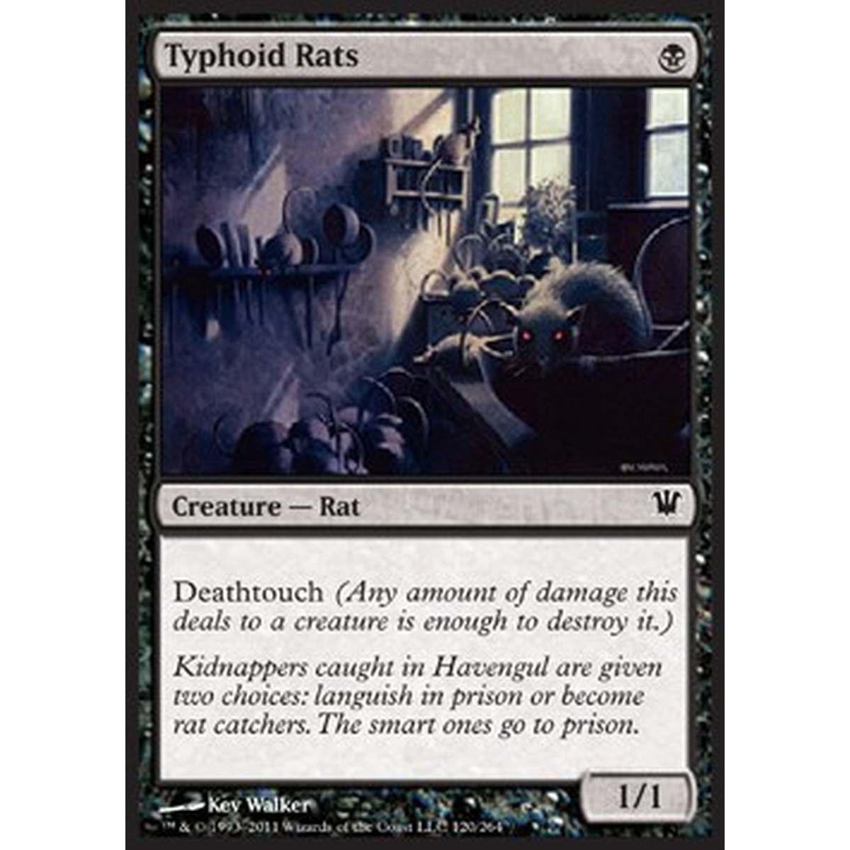 Typhoid Rats - Ratti del Tifo - [ISD] [NM]