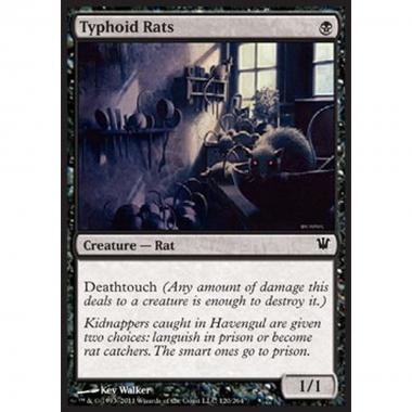 Typhoid Rats - Ratti del Tifo - [ISD] [NM]