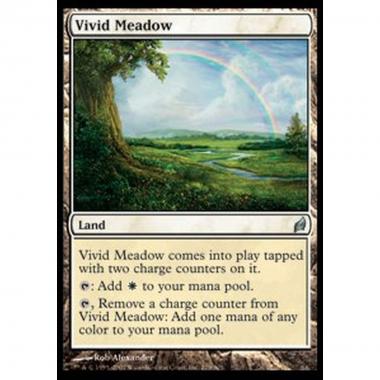 Vivid Meadow - Vivid Meadow - [LRW] [NM]
