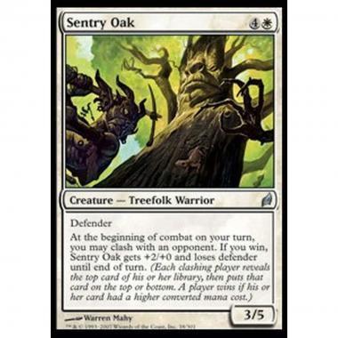Sentry Oak - Quercia Sentinella - [LRW] [NM]