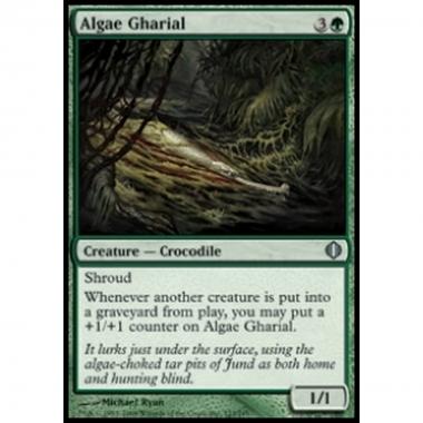 Algae Gharial - Algae Gharial - [ALA] [NM]