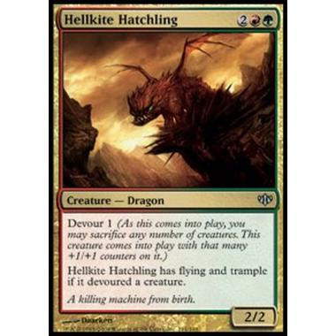 Hellkite Hatchling - Cucciolo di Nibbio Infernale - [CONF] [NM]
