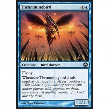 Thrummingbird - Strimpellibr¬ - [SOM] [EX]