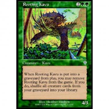 Rooting Kavu - Kavu Radicato - [INV] [EX]
