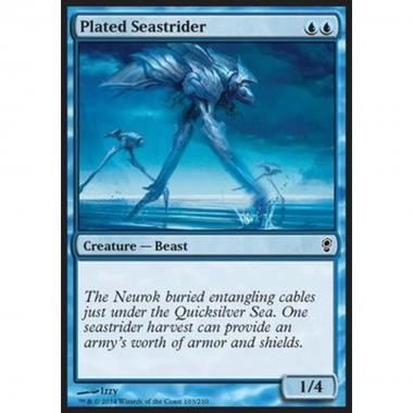 Plated Seastrider - Plated Seastrider - [CNS] [NM]