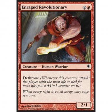 Enraged Revolutionary - Enraged Revolutionary - [CNS] [NM]