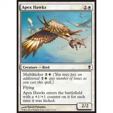 Apex Hawks - Apex Hawks - [CNS] [NM]