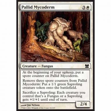 Pallid Mycoderm - Pallid Mycoderm - [MMA] [NM]