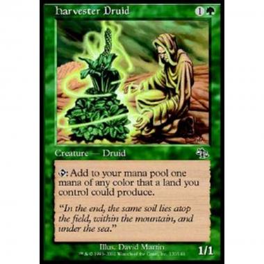 Harvester Druid - Druido Mietitore - [JUD] [NM]