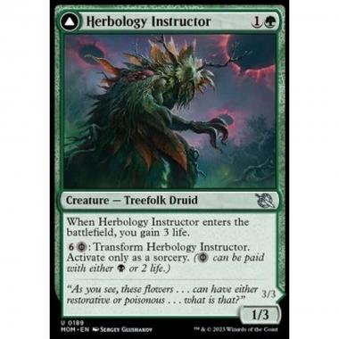 Herbology Instructor // Malady Invoker - Herbology Instructor // Malady Invoker - [MOM] [NM]