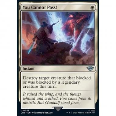 You Cannot Pass! - You Cannot Pass! - [LTR] [NM]