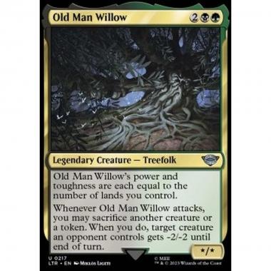 Old Man Willow - Old Man Willow - [LTR] [NM]