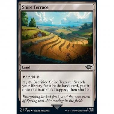 Shire Terrace - Shire Terrace - [LTR] [NM]