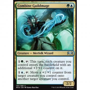 Combine Guildmage - Maga della Gilda dell'Alleanza - [RNA] [NM]