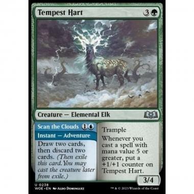 Tempest Hart // Scan the Clouds - Tempest Hart // Scan the Clouds - [WOE] [NM]