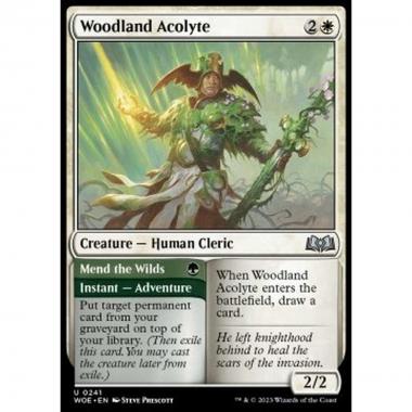 Woodland Acolyte // Mend the Wilds - Woodland Acolyte // Mend the Wilds - [WOE] [NM]