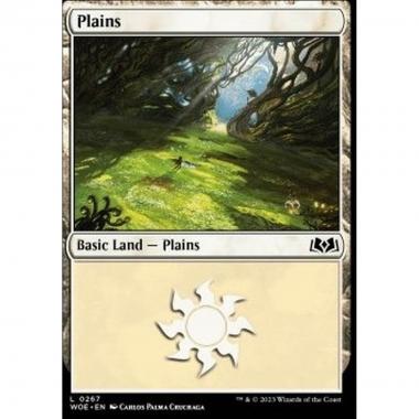 Plains (V.2) - Plains (V.2) - [WOE] [NM] [Foil]