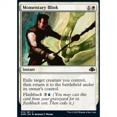 Momentary Blink - Momentary Blink - [DMR] [NM]