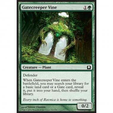 Gatecreeper Vine - Rampicante del Cancello - [RTR] [NM]