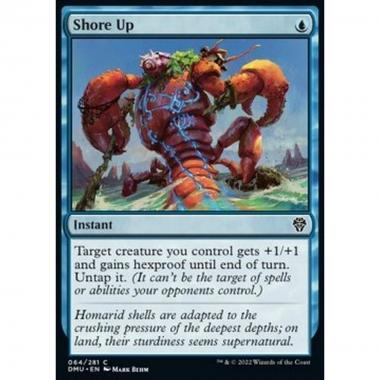 Shore Up - Shore Up - [DMU] [NM]