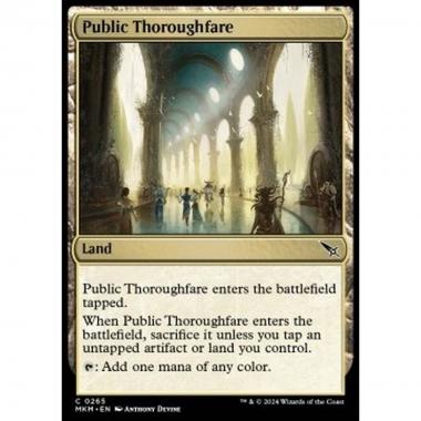 Public Thoroughfare - Public Thoroughfare - [MKM] [NM]