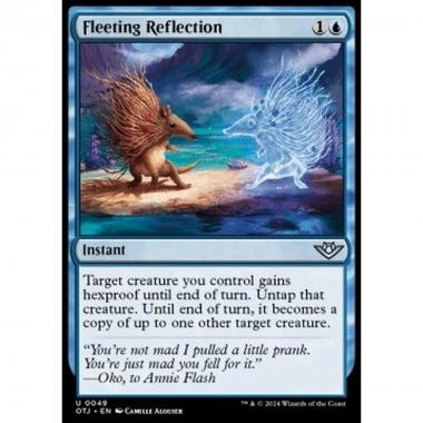 Fleeting Reflection - Fleeting Reflection - [OTJ] [NM]