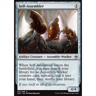 Self-Assembler - Self-Assembler - [A25] [NM]