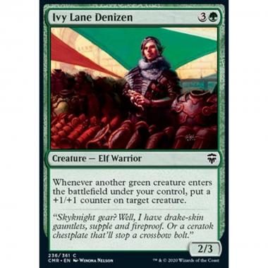Ivy Lane Denizen - Ivy Lane Denizen - [CMR] [NM]