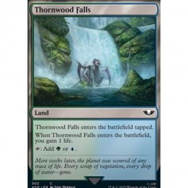 Thornwood Falls - Cascate di Boscorovo - [40K] [NM]