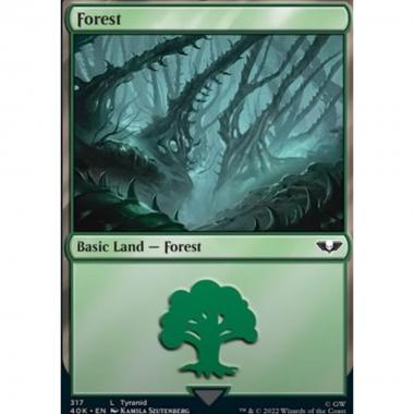 Forest - Foresta - [40K] [NM]