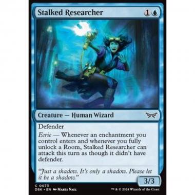 Stalked Researcher - Stalked Researcher - [DSK] [NM]