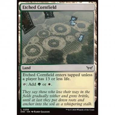 Etched Cornfield - Etched Cornfield - [DSK] [NM]