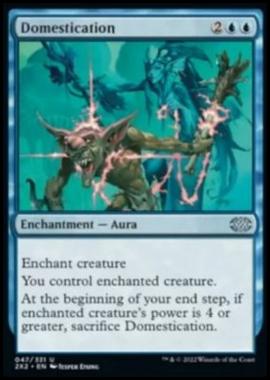 Domestication - Domestication - [2X2] [NM] [Foil]