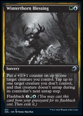 Winterthorn Blessing - Winterthorn Blessing - [DBL] [NM]