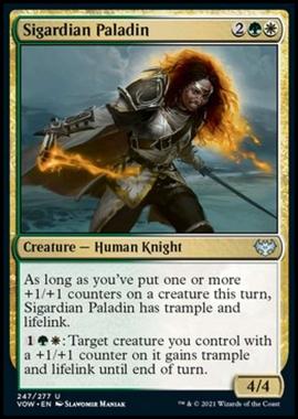 Sigardian Paladin - Paladina di Sigarda - [VOW] [NM] [Foil]