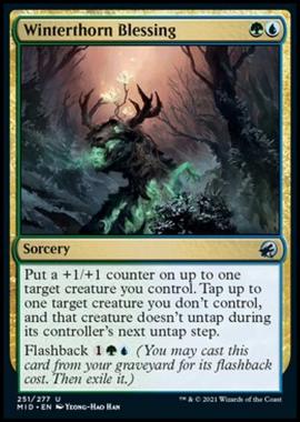 Winterthorn Blessing - Benedizione dell'Invernospino - [MID] [NM] [Foil]