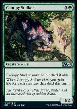 Canopy Stalker - Predatore delle Fronde - [M21] [NM] [Foil]