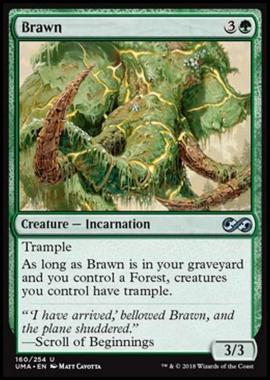 Brawn - Brawn - [UMA] [NM] [Foil]