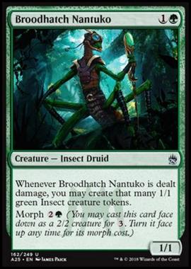 Broodhatch Nantuko - Broodhatch Nantuko - [A25] [NM] [Foil]